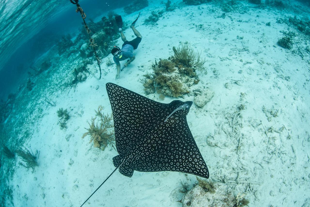 Turneffe Island Resort Turneffe Atoll Екстер'єр фото